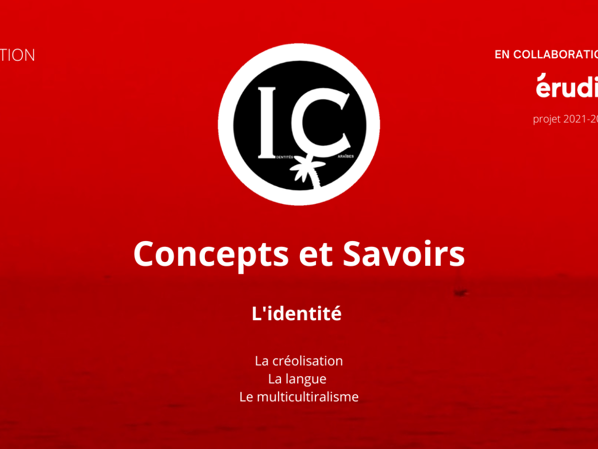Concepts et Savoirs: l&rsquo;identité en&nbsp;questions